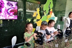 resize_32079847_1942142766096613_485288002587721728_n