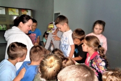 resize_32116540_1942142312763325_908894017037533184_n