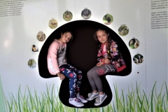 resize_32186575_1942142069430016_2005336925040279552_n