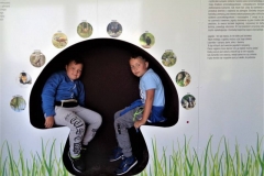 resize_32191732_1942142096096680_1486986655049973760_n