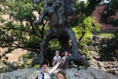 resize_IMG_20180527_102906