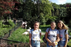 resize_IMG_20180527_162959