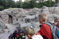 resize_IMG_20180527_171542