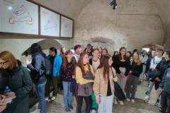 IMG_20250520_110731383