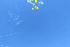 IMG_20250521_091153582