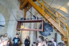 IMG_20250521_133657782