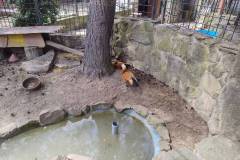 IMG_20250521_140019288
