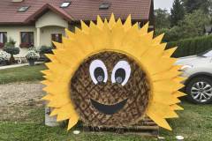 IMG_20250907_140918650_HDR