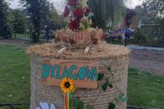 IMG_20250907_181403987_HDR