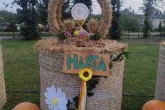 IMG_20250907_181452985