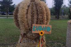 IMG_20250907_181506786