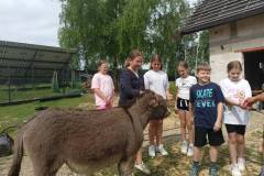 IMG20260610094637