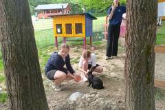 IMG20260610100844