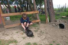 IMG20260610101205