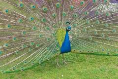 IMG-20260530-WA0070