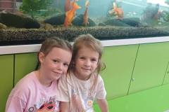 IMG-20260520-WA0092