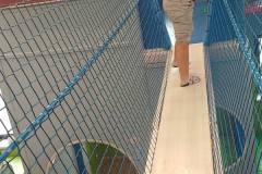 IMG-20260520-WA0152