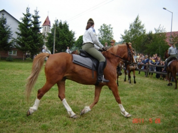 dsc02475