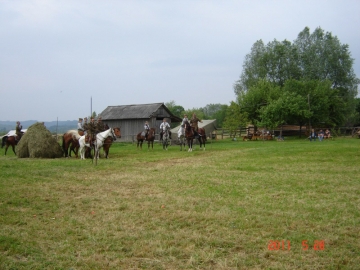 dsc02500