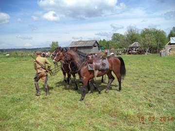 dsc01799