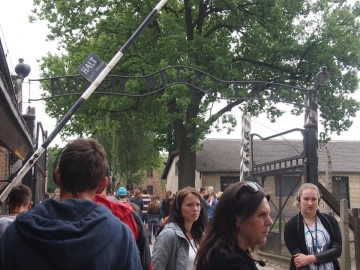 11428505_386708744857607_1641354212986356230_n