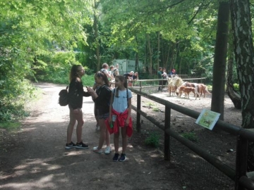 resize_IMG_20170605_141333