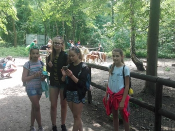 resize_IMG_20170605_141341