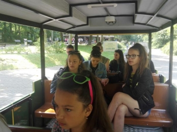 resize_IMG_20170605_142940