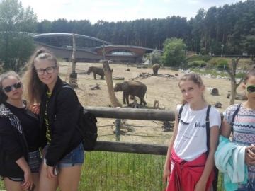 resize_IMG_20170605_143951